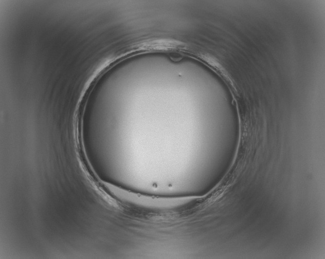 X0000054391083200508121626