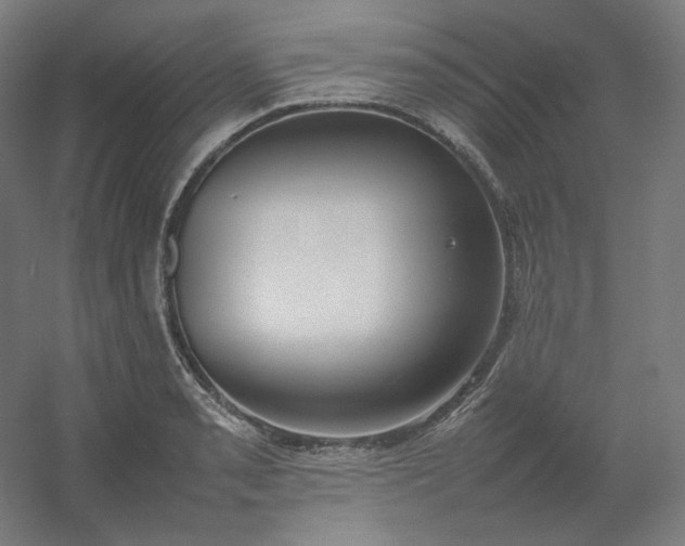 X0000054391085200508121626