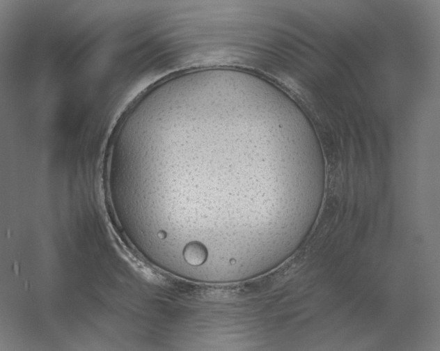 X0000054391086200508121626