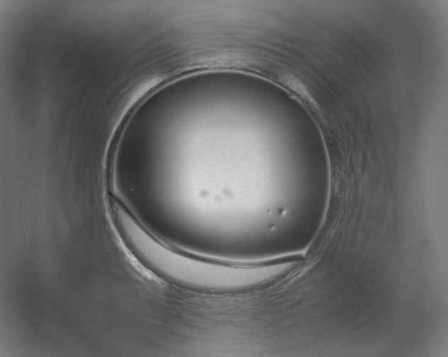 X0000054391087200508121626