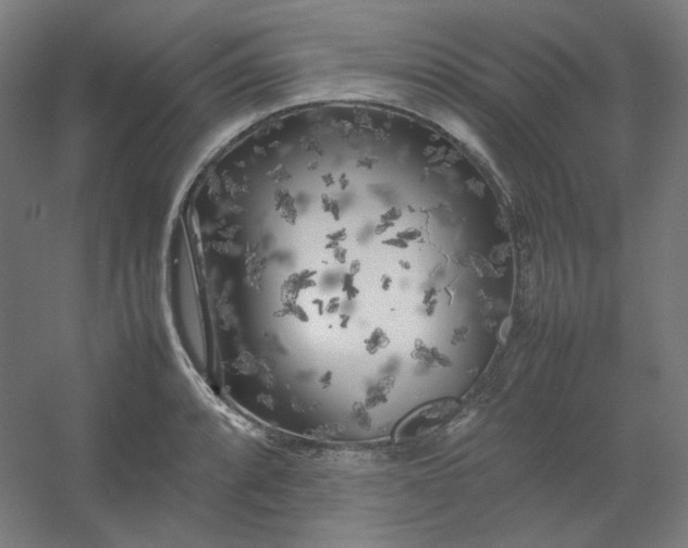 X0000054391088200508121626