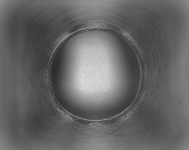 X0000054391089200508121626