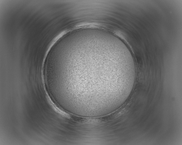 X0000054391090200508121626