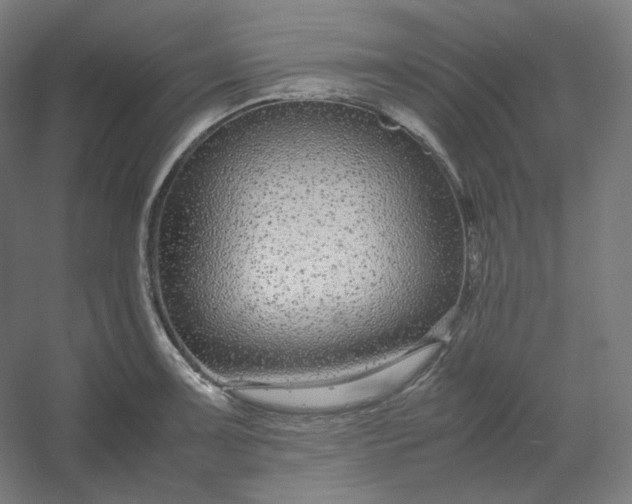 X0000054391091200508121626