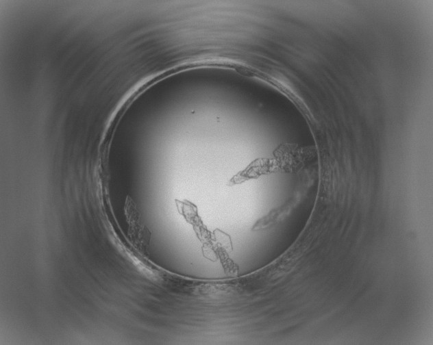 X0000054391092200508121626