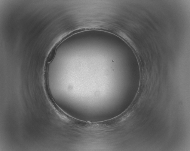 X0000054391093200508121626