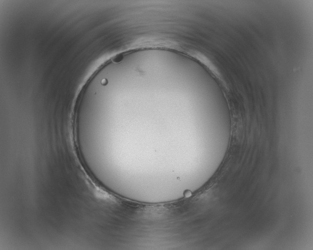 X0000054391094200508121626