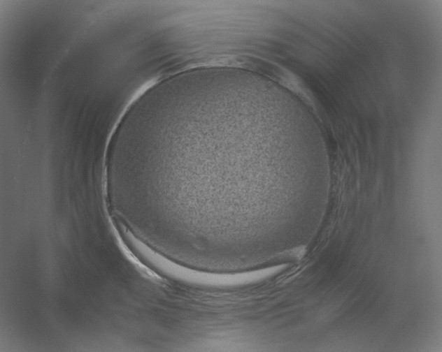 X0000054391095200508121626