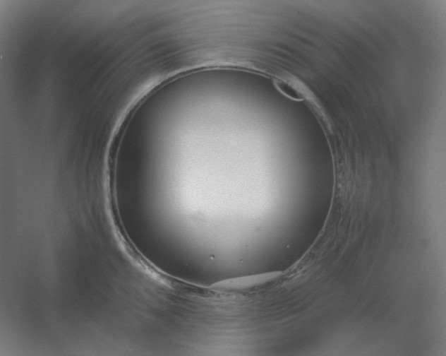 X0000054391096200508121626