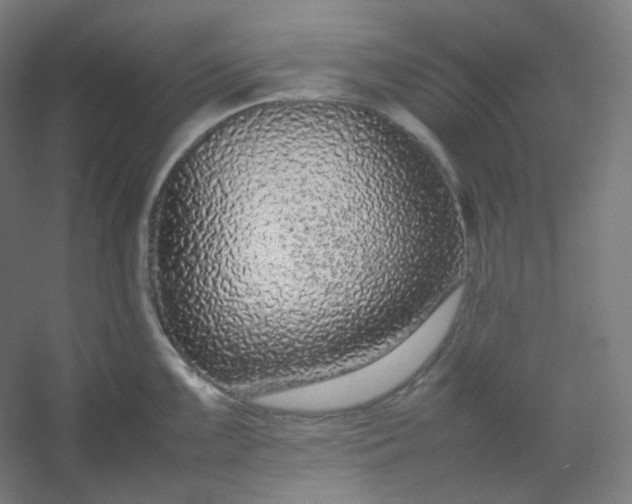 X0000054391099200508121626