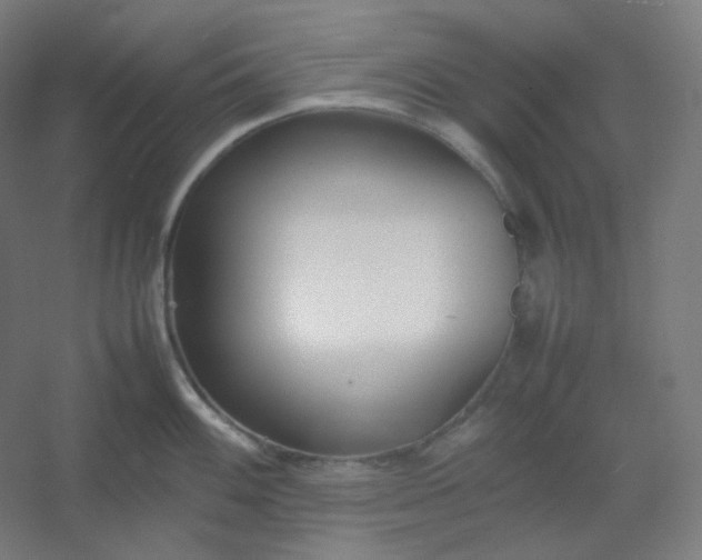 X0000054391100200508121626