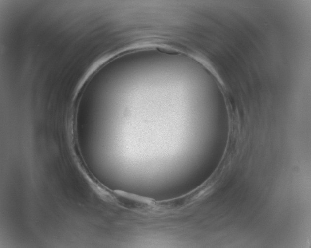 X0000054391101200508121626