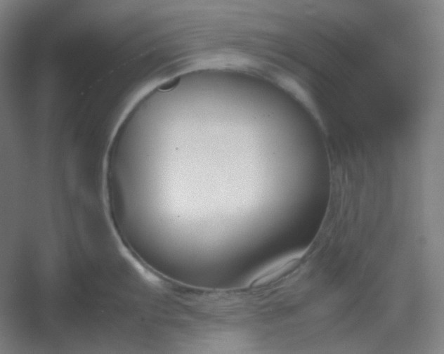 X0000054391103200508121626