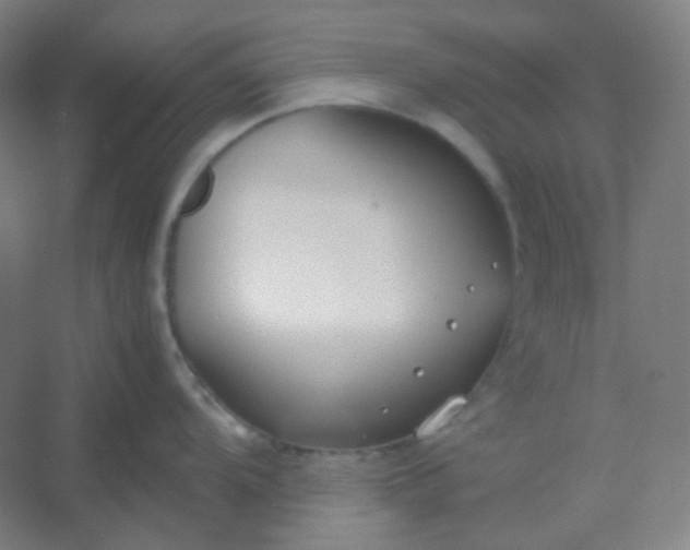 X0000054391104200508121626