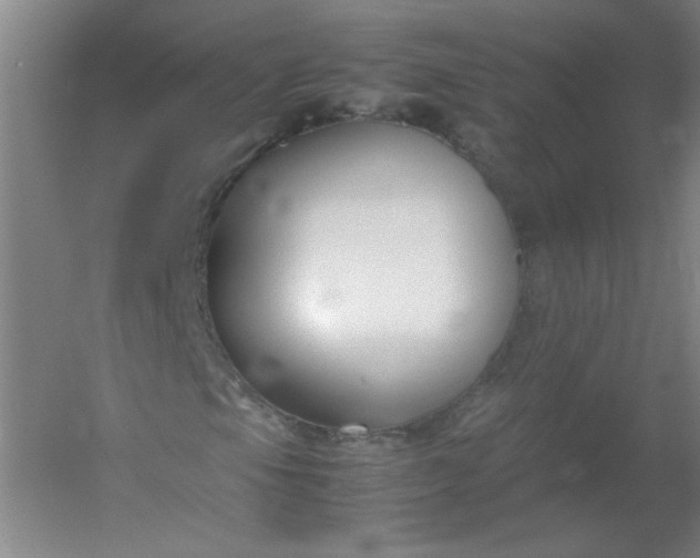 X0000054391105200508121625