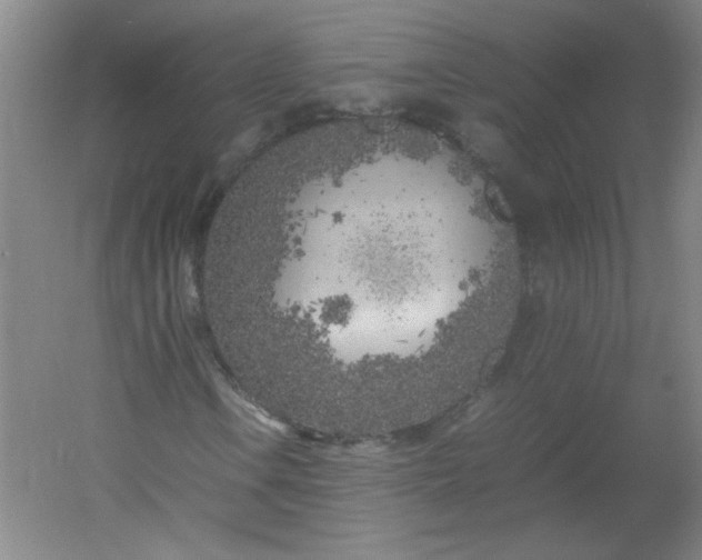 X0000054391106200508121625