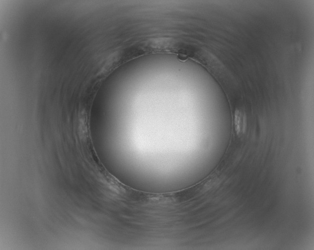 X0000054391107200508121625