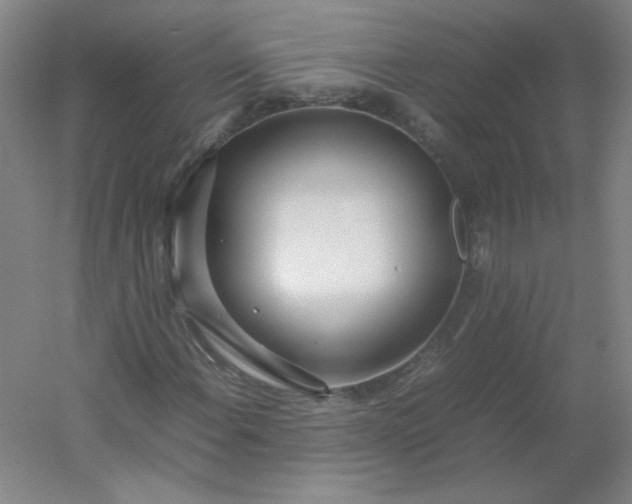 X0000054391108200508121625