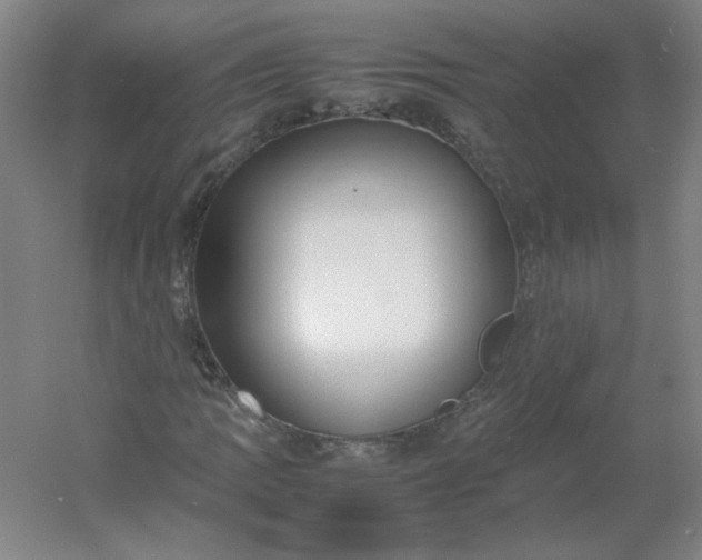 X0000054391109200508121625