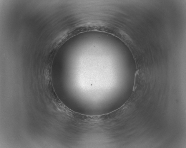 X0000054391110200508121625