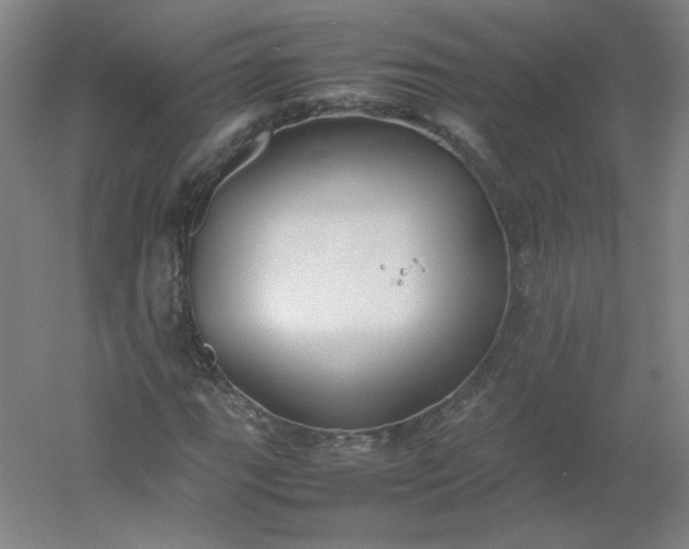 X0000054391111200508121625