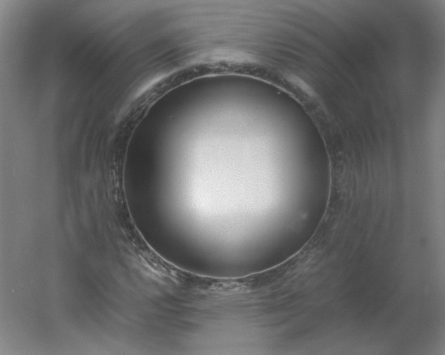 X0000054391112200508121625