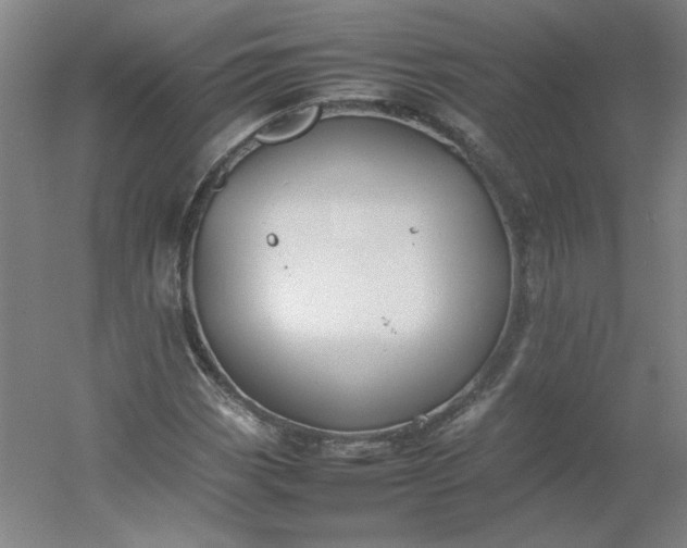 X0000054391113200508121625