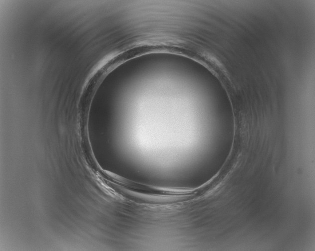 X0000054391114200508121625