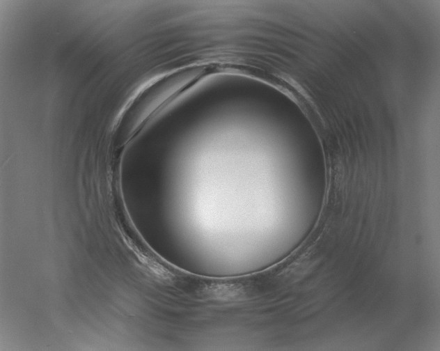 X0000054391115200508121625