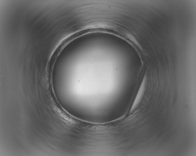 X0000054391116200508121625