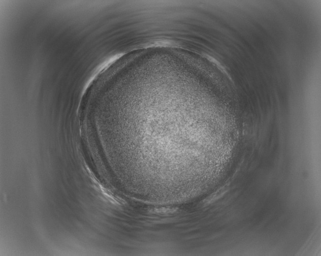 X0000054391117200508121625