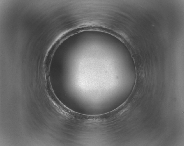 X0000054391118200508121625