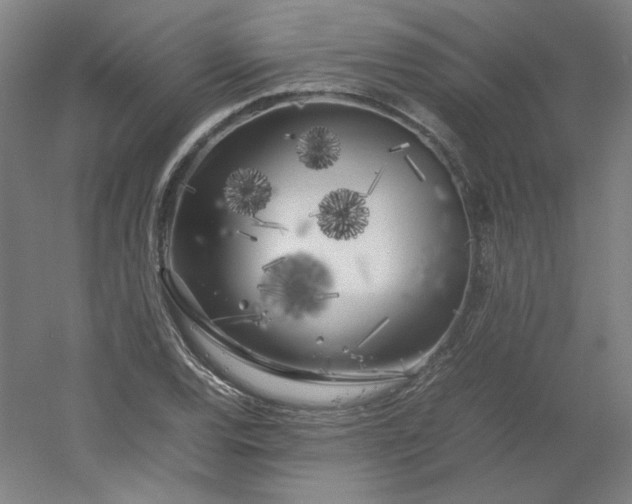 X0000054391120200508121625