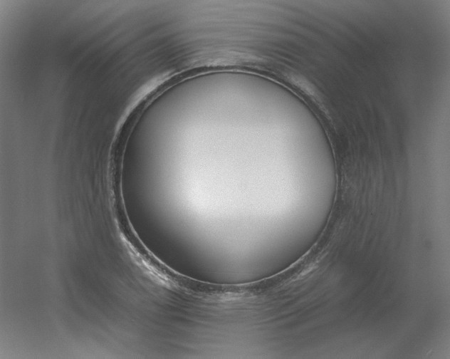 X0000054391122200508121625