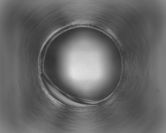 X0000054391124200508121625