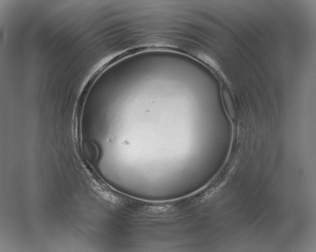 X0000054391125200508121625