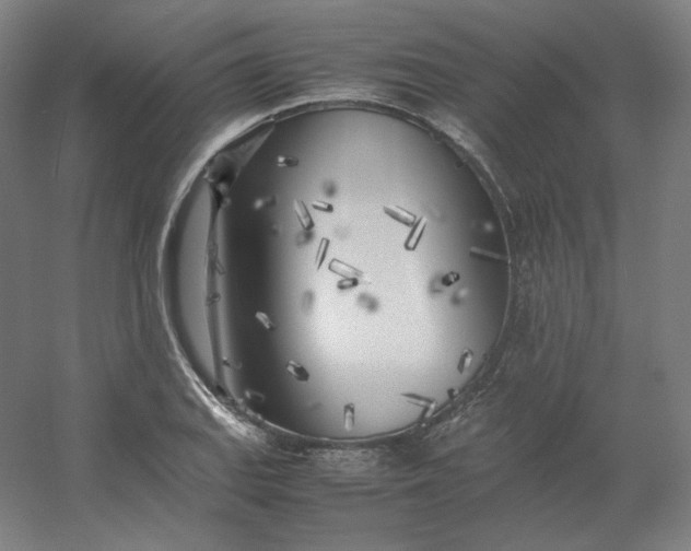 X0000054391127200508121625