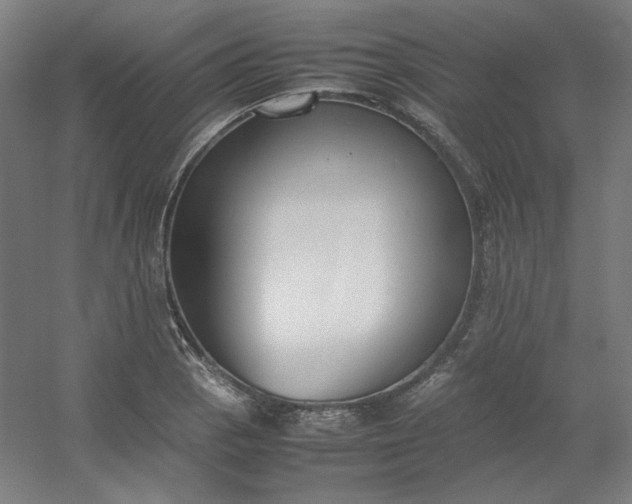 X0000054391129200508121626