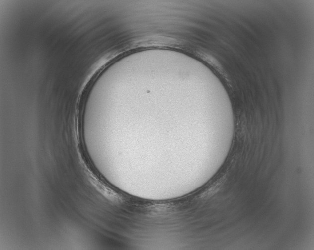 X0000054391130200508121626