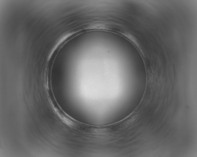 X0000054391131200508121626