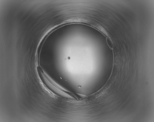 X0000054391132200508121626