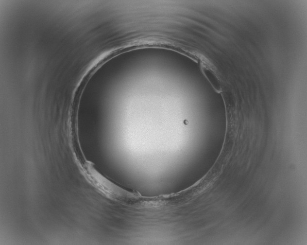 X0000054391134200508121626