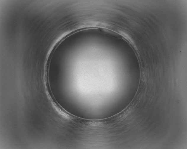 X0000054391136200508121626