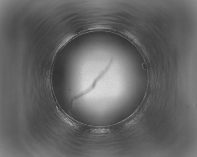 X0000054391137200508121626