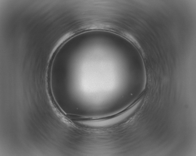 X0000054391138200508121626