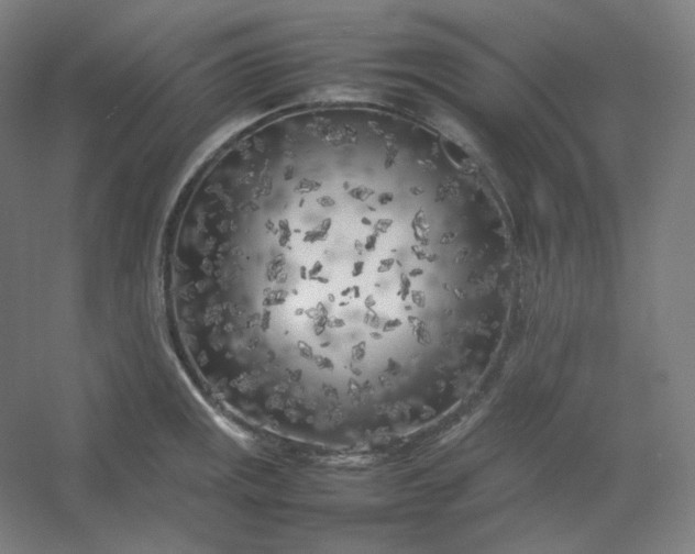 X0000054391141200508121626