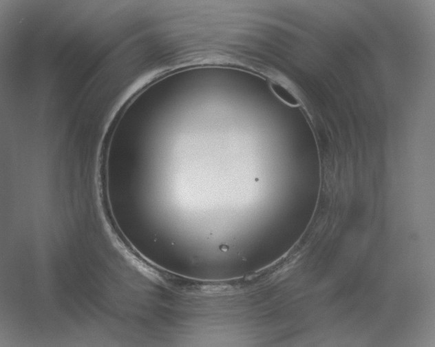 X0000054391142200508121626