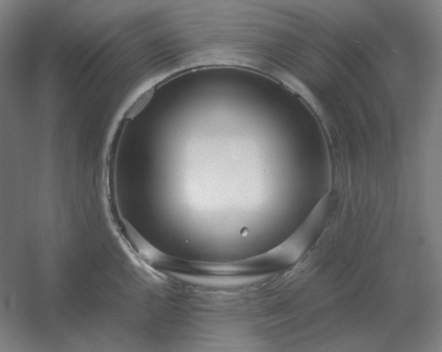 X0000054391144200508121626