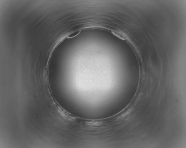 X0000054391145200508121626