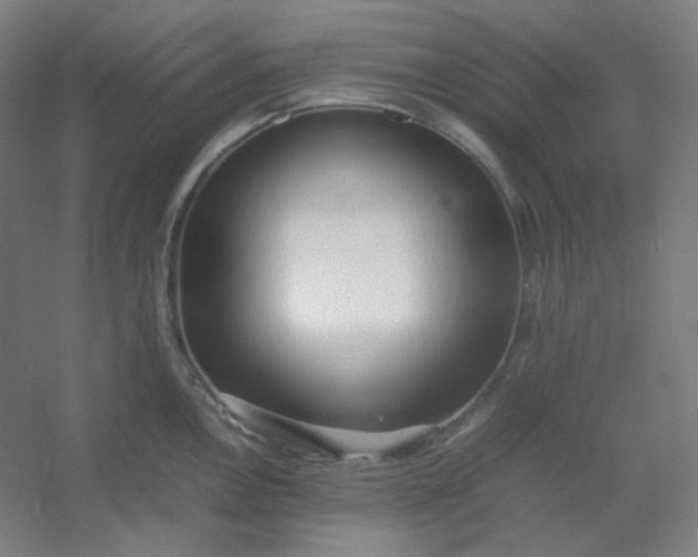 X0000054391146200508121626